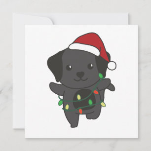 Labrador Weihnachten Winter Niedliche Hunde Weihna