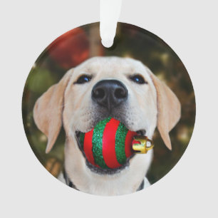 Labrador-Weihnachtsball Ornament