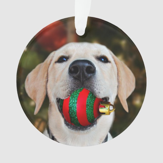Labrador-Weihnachtsball Ornament (Vorderseite)