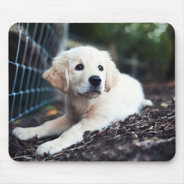 Labrador-Welpe, der im Garten spielt Mousepad (Vorne)