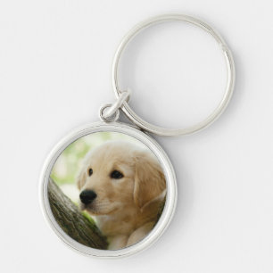 Labrador-Welpe, der in einer Waldeinstellung sitzt Schlüsselanhänger