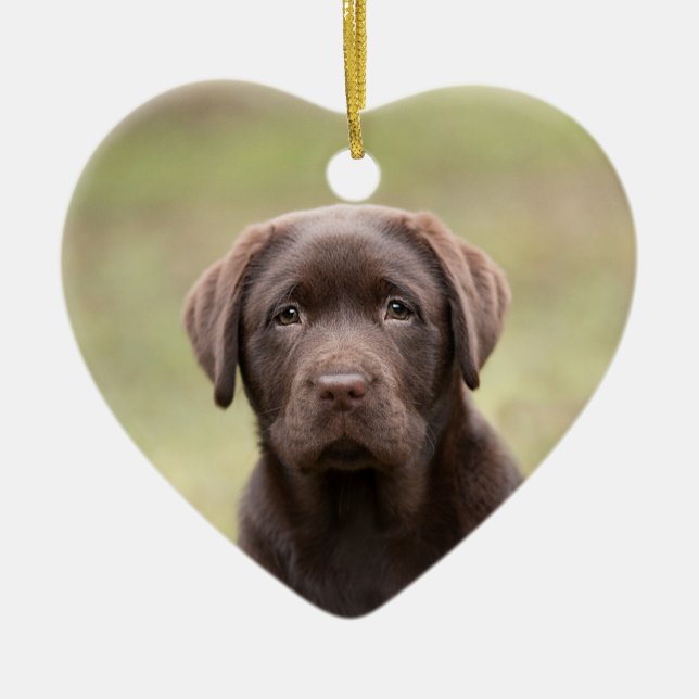 Labrador-Welpe Keramik Ornament (Vorne)