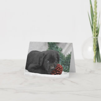 Labrador Welpe mit Weihnachtskranz