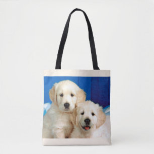Labrador-Welpen