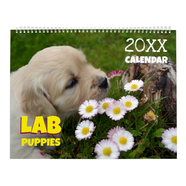 Labrador Welpen Labrador Retriever Wall 2025 Kalen Kalender (Titelbild)