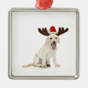 Labrador-Welpen-tragende Geweihe Silbernes Ornament