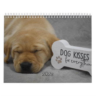 Labrador Welppies Kalender