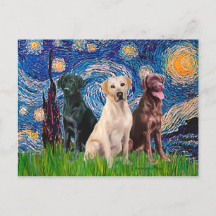 Labradors (3) - Sternennacht Postkarte