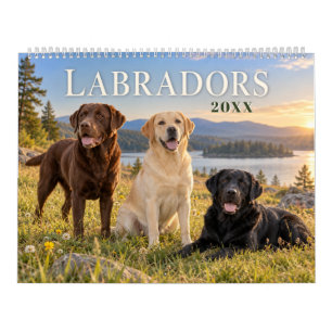 Labradors durch die Jahreszeiten Kalender
