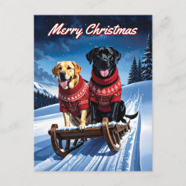 Labradors Sled Ride Christmas Postkarte