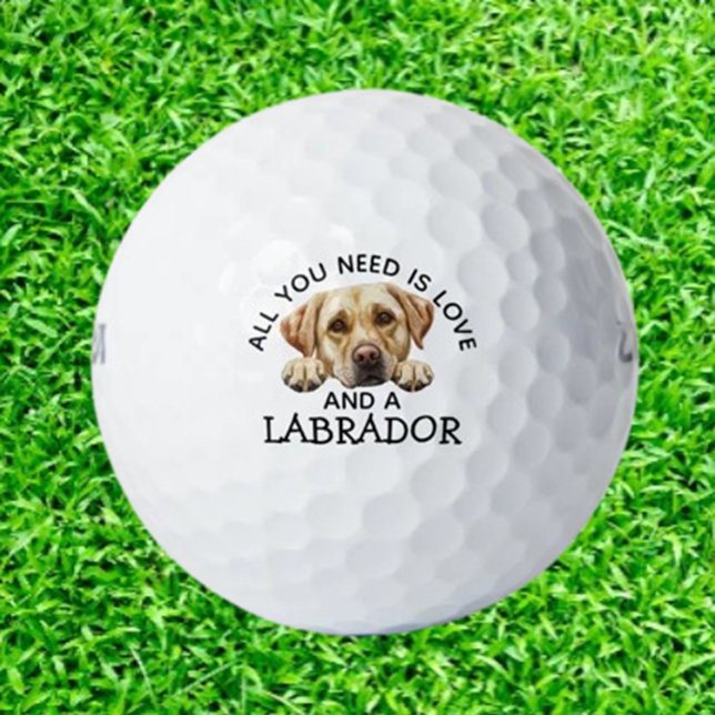  Labradors und  Golfball (Delight Labrador lovers with unique golf balls featuring adorable Lab designs.  )