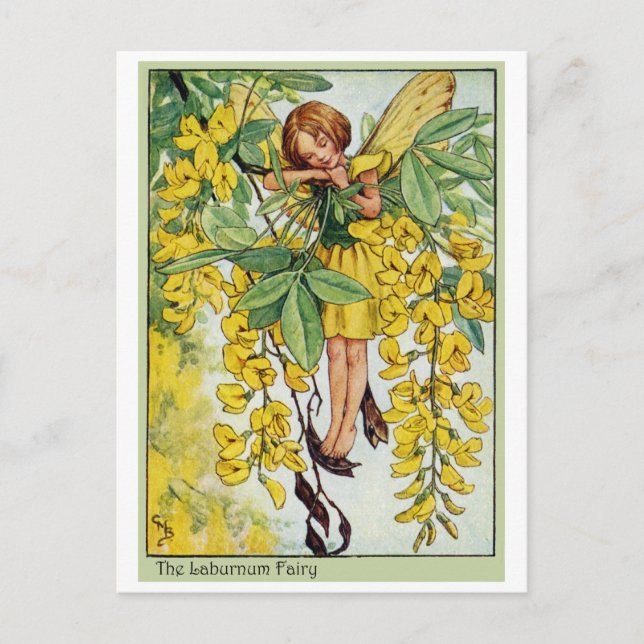 Laburnum Fairy Postkarte (Vorderseite)