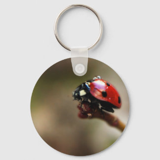 LABYBIRD SCHLÜSSELANHÄNGER