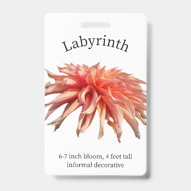 Labyrinth Dahlia ID Abzeichen Ausweis (Vorderseite)