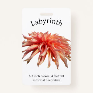 Labyrinth Dahlia ID Abzeichen Ausweis