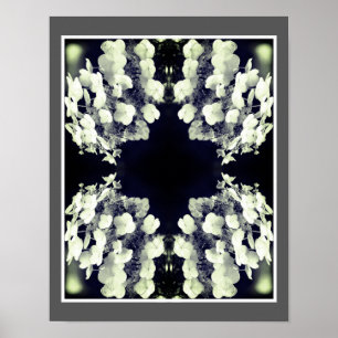 Lacecap Hydrangea Abstrakt Poster