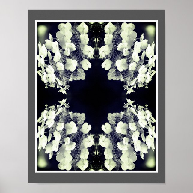 Lacecap Hydrangea Abstrakt Poster (Vorne)
