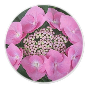 Lacecap Hydrangea Keramik Pull Keramikknauf