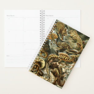 Lacertilia, Eidechsen von Ernst Haeckel Planner Planer