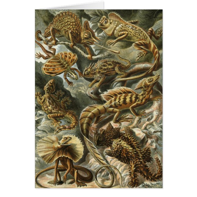Lacertilia von Ernst Haeckel Vintag Lizard Animals (Vorne)
