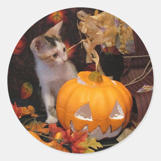 Lacey - Halloween Cat / Kitten Stickers (Vorderseite)