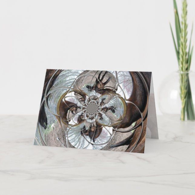 Laceys Pferde Einladung (Vorderseite)