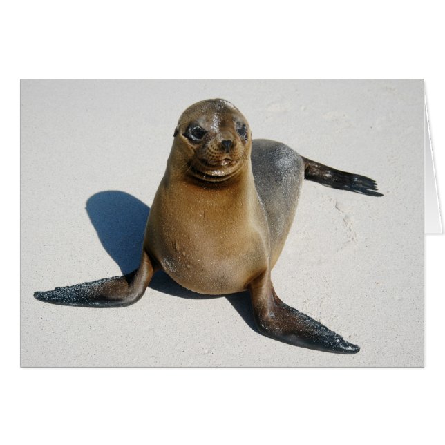 Lächeln (Vorderseite (Horizontal))