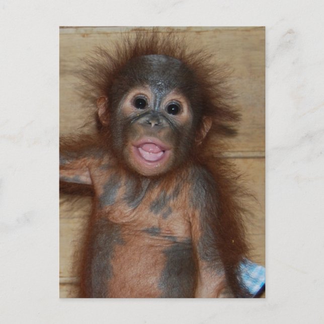 Lächeln Baby Orangutan in Diapers Borneo Postkarte (Vorderseite)
