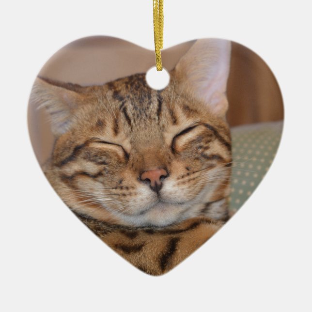 Lächeln bengalisch keramik ornament (Vorne)