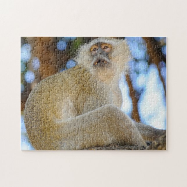Lächeln. Botswana Velvet Monkey. Puzzle (Horizontal)
