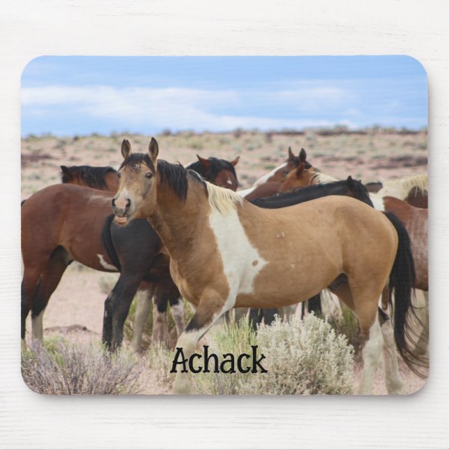 Lächeln des Wildpferds  Mousepad (Vorne)