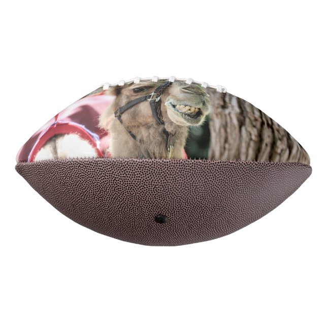Lächeln Football (Gedreht 270)