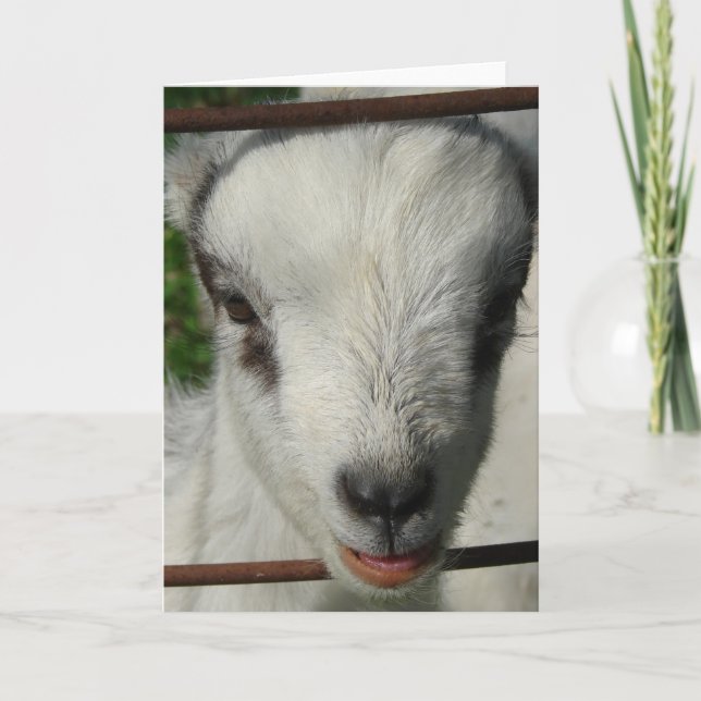 Lächeln Karte (Vorderseite)