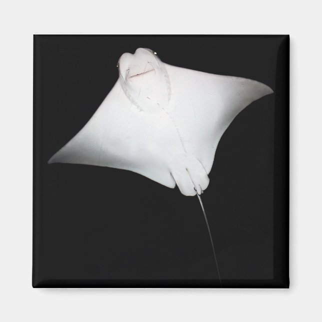 Lächeln Magnet (Vorne)