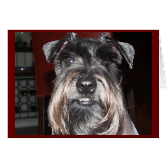 LÄCHELN mit mir! (Vorderseite (Horizontal))