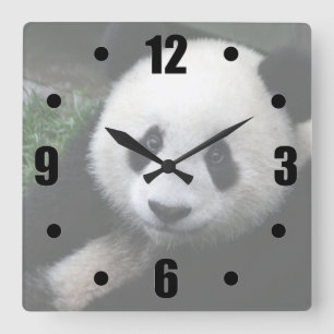 Lächeln Panda Quadratische Wanduhr