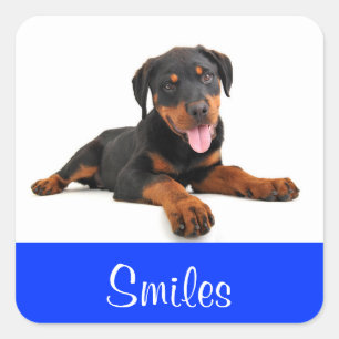 Lächeln Rottweiler Welpen Hund Gruß Aufkleber