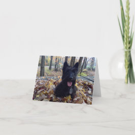 Lächeln Sie die Herbstkarte. Karte