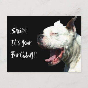 Lächeln Sie, es ist Ihr Geburtstag White Boxer Hun Postkarte
