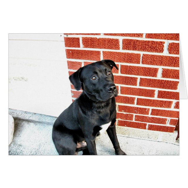 Lächeln Sie für uns Mitternacht! (Vorderseite (Horizontal))