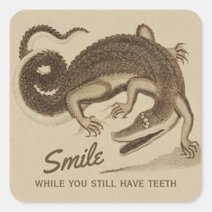 Lächeln, während Sie noch Zähne CC0890 Krokodil Quadratischer Aufkleber