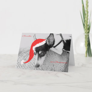 Lächeln, Weihnachten, Karte mit Rat Terrier