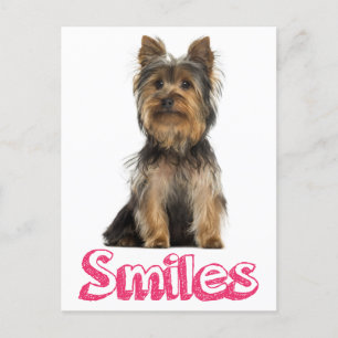 Lächeln Yorkshire Terrier Welpe Doppy Blank Post C Postkarte