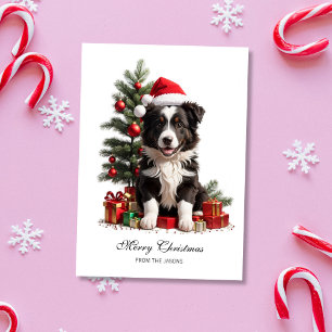 Lächelnd Border Collie Weihnachts Welpe Personalis Feiertagskarte