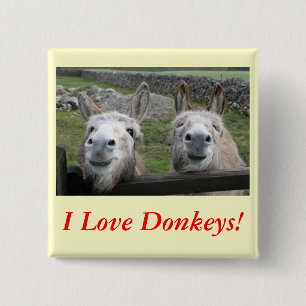 Lächelnd Donkeys! Button
