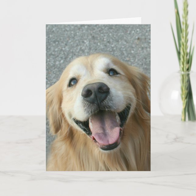 Lächelnd Golden Retriever Danke (Vorderseite)