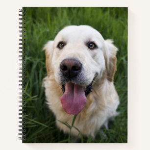 Lächelnd Golden Retriever Notizbuch