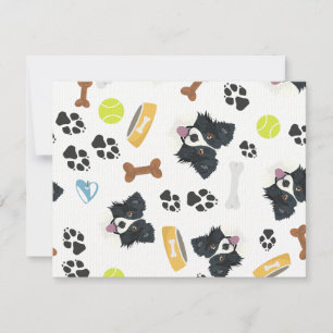 Lächelnd Hund Border Collie