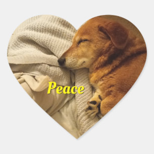 Lächelnd Hunde Herzsticker Herz-Aufkleber