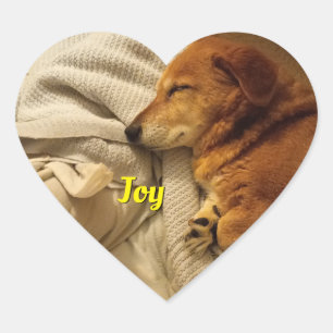 Lächelnd Hunde Herzsticker Herz-Aufkleber
